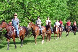 Horse Boarding Ranch & Lessons (Granada Hills)
